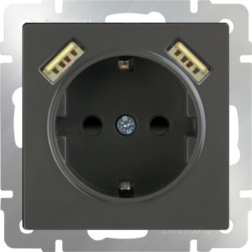 Розетка с заземлением, шторками и USBх2 (серо-коричневый WL07-SKGS-USBx2-IP20